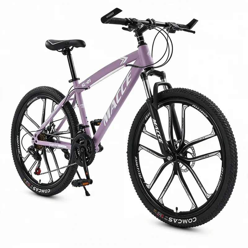 Purple 10-Speed High-End Mount - Cycling Low Gear recension och pris