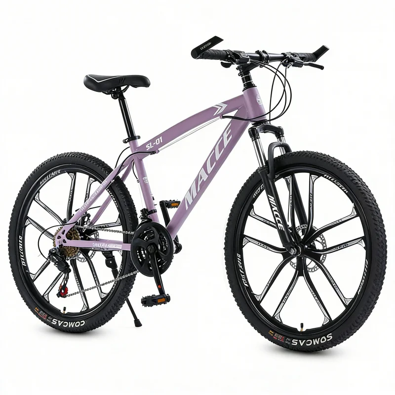 Purple 10-Speed High-End Mount - Cycling Low Gear recension och pris