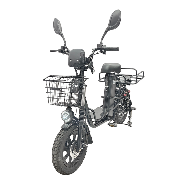 YTYIN Electric Bike Hot Sellin - Cycling Low Gear recension och pris