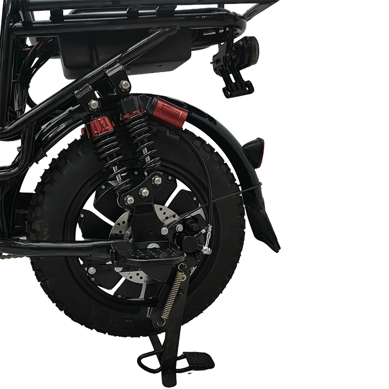 YTYIN Electric Bike Hot Sellin - Cycling Low Gear recension och pris
