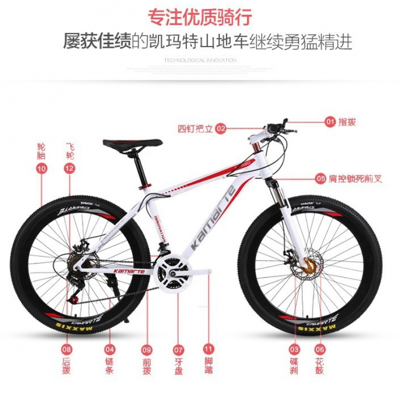 26-inch Youth & Adult Mountain - Cycling Low Gear recension och pris