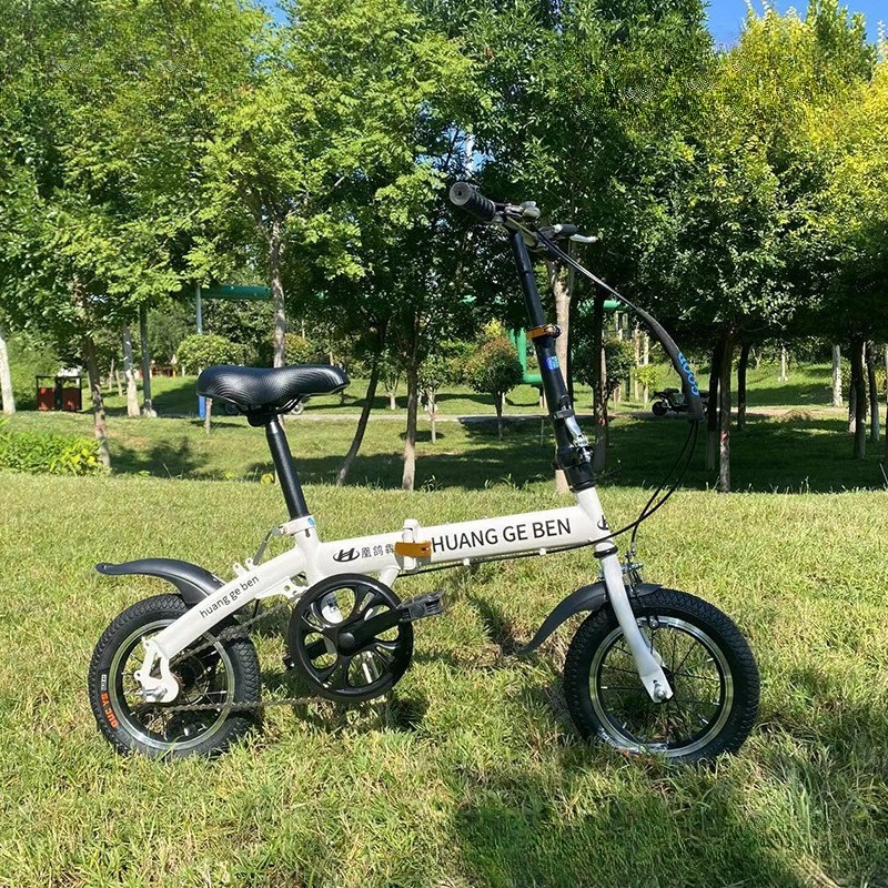 20 Inch Folding Bikes Adult Va - Cycling Low Gear recension och pris